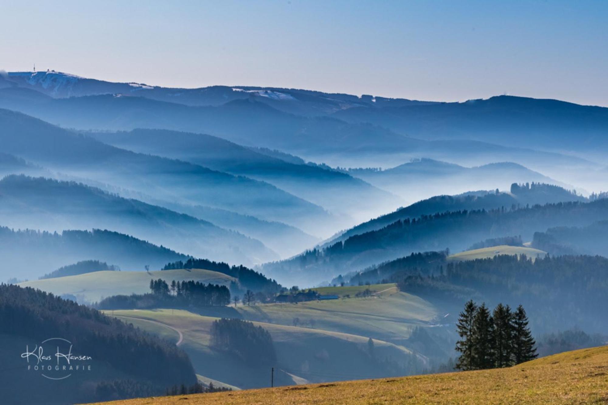 Apartment 13 - Ferienresidenz Roseneck, Mit Schwimmbad In Todtnauberg Bei Feldberg Exteriör bild
