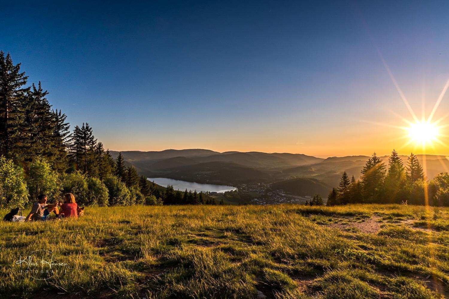 Apartment 13 - Ferienresidenz Roseneck, Mit Schwimmbad In Todtnauberg Bei Feldberg Exteriör bild