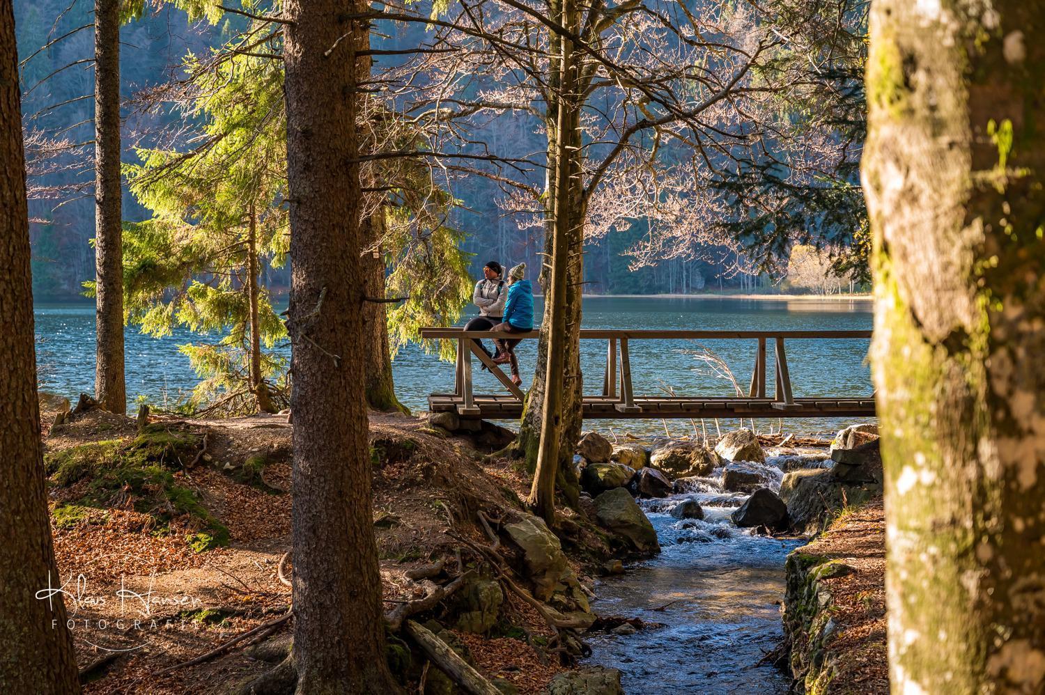 Apartment 13 - Ferienresidenz Roseneck, Mit Schwimmbad In Todtnauberg Bei Feldberg Exteriör bild