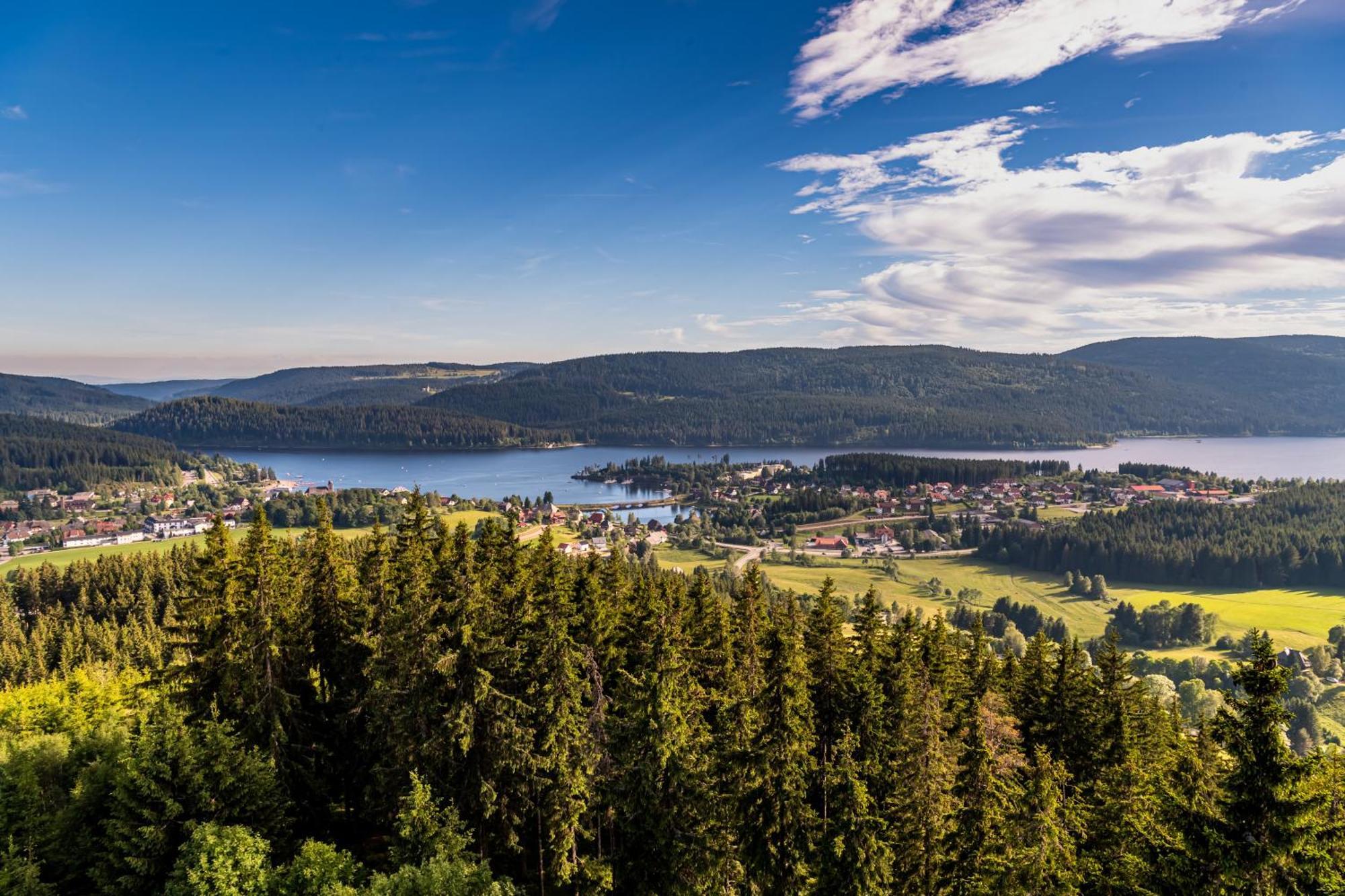 Apartment 13 - Ferienresidenz Roseneck, Mit Schwimmbad In Todtnauberg Bei Feldberg Exteriör bild