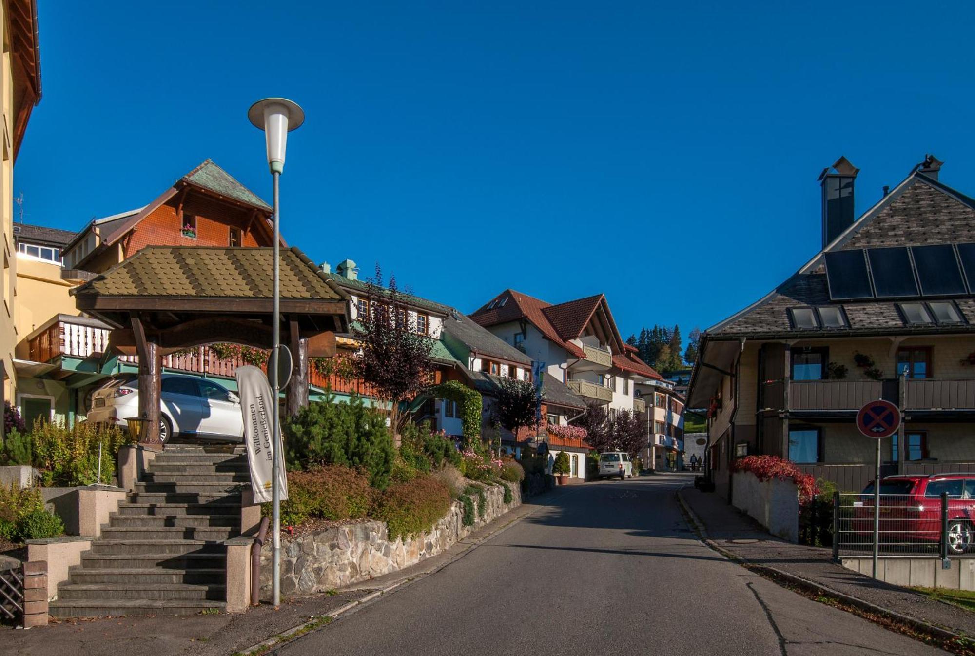 Apartment 13 - Ferienresidenz Roseneck, Mit Schwimmbad In Todtnauberg Bei Feldberg Exteriör bild