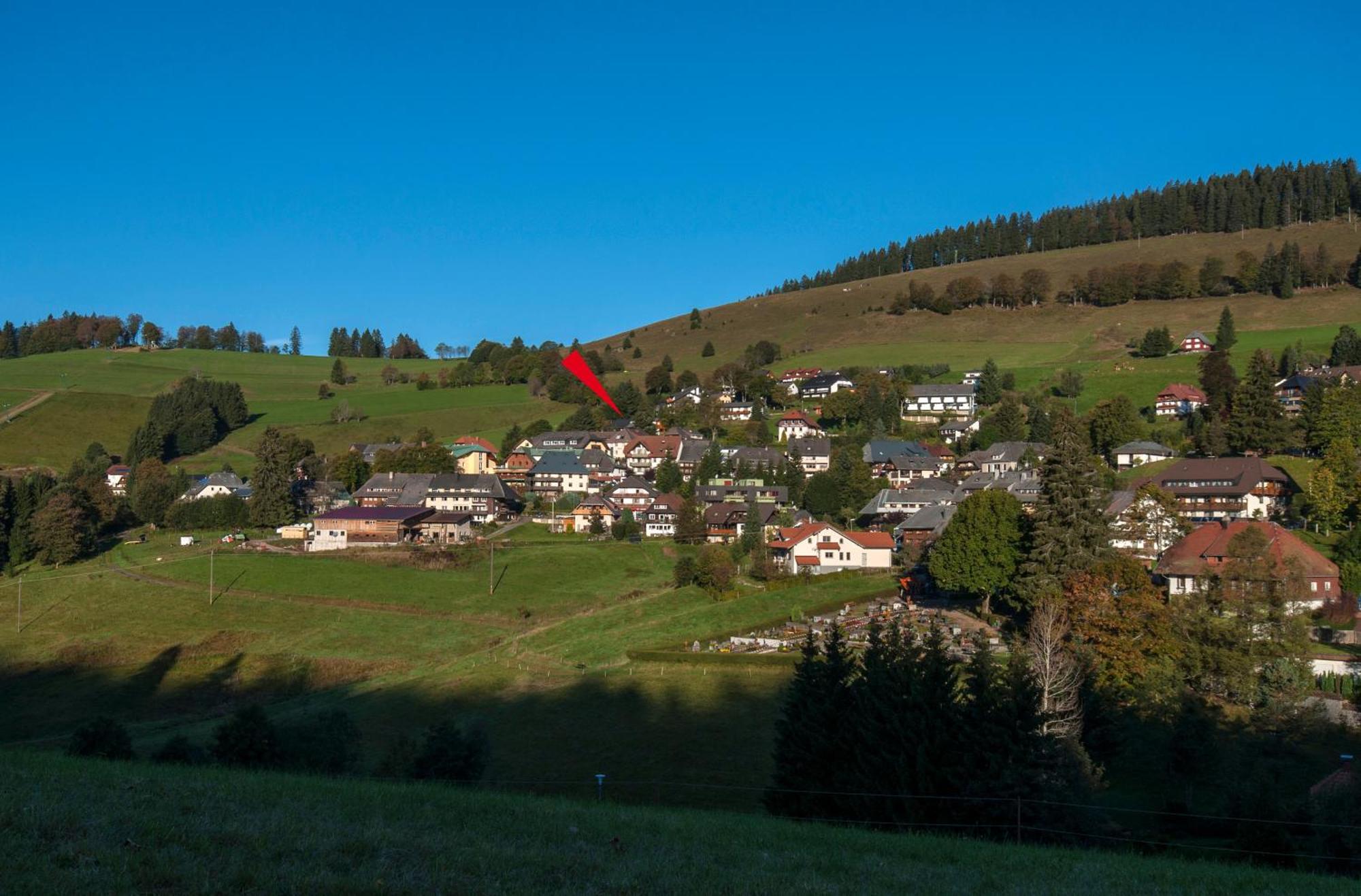 Apartment 13 - Ferienresidenz Roseneck, Mit Schwimmbad In Todtnauberg Bei Feldberg Exteriör bild